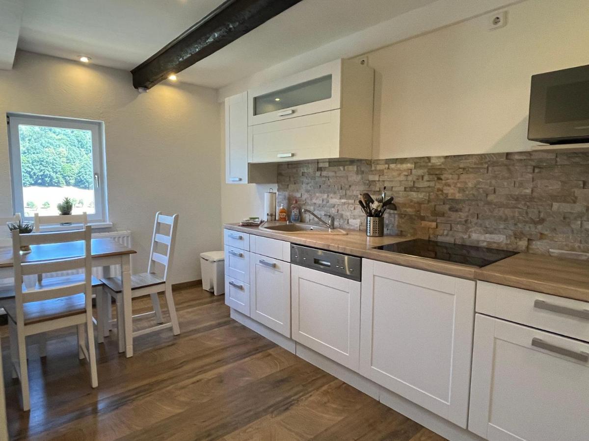 Saechsische-Schweiz-Ferienhaus-Wohnung-1-Mit-Elbblick-Sauna-Und-Kamin Кенігштайн-ан-дер-Ельбе Екстер'єр фото