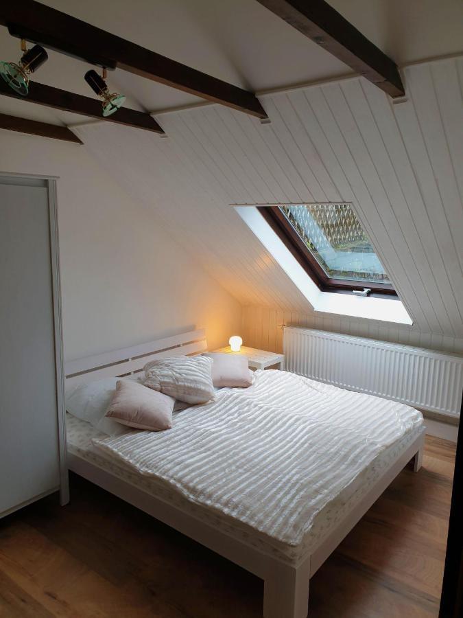 Saechsische-Schweiz-Ferienhaus-Wohnung-1-Mit-Elbblick-Sauna-Und-Kamin Кенігштайн-ан-дер-Ельбе Екстер'єр фото